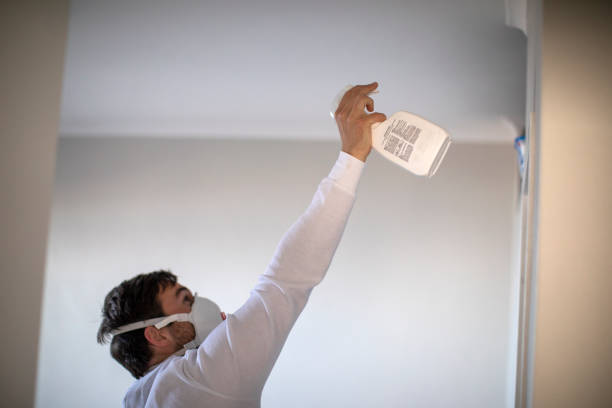 Best Black Mold Remediation in Big Lake, TX