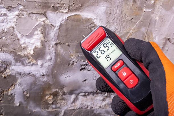 Best Attic Mold Remediation in Big Lake, TX