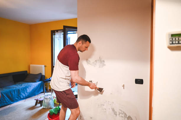 Best Post-Remediation Services in Big Lake, TX